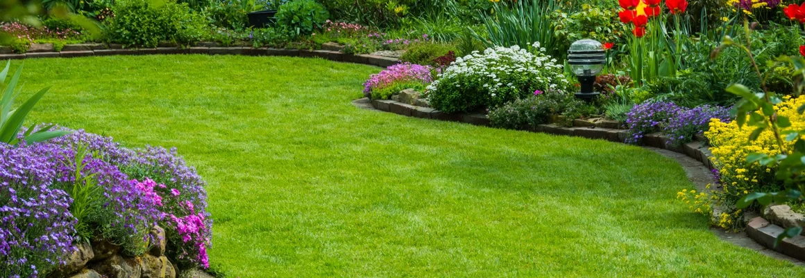 Blumenbeet im Garten